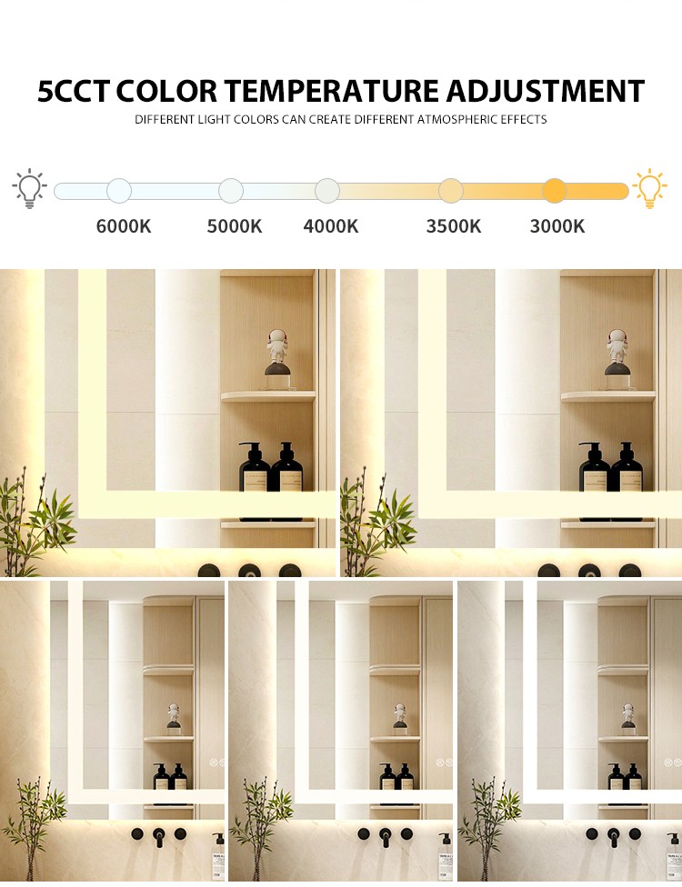 Wall Mounted Vanity Mirror