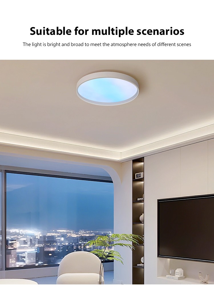 Ceiling Lights