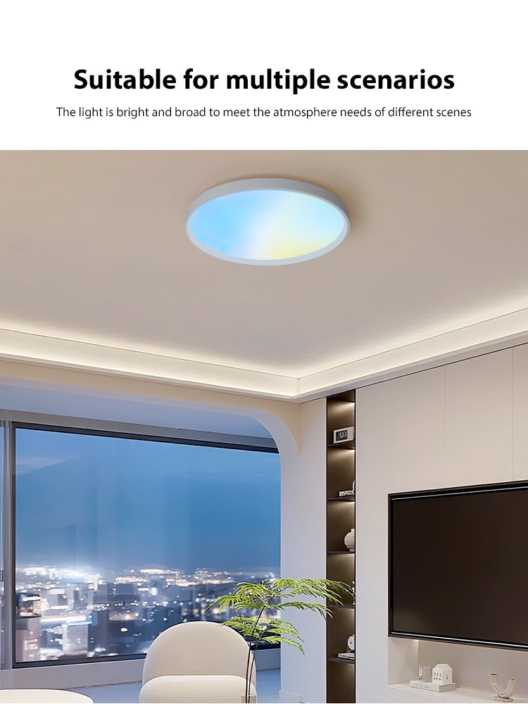 Full Spectrum Ceiling Lights