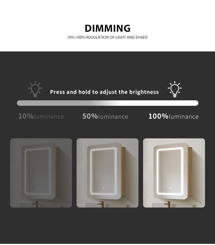 Wall mounted vanity mirror cabinet with lights