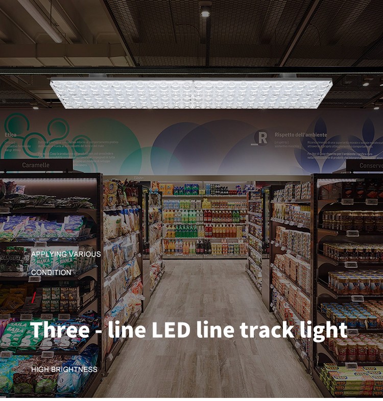 Linear Light Fixture