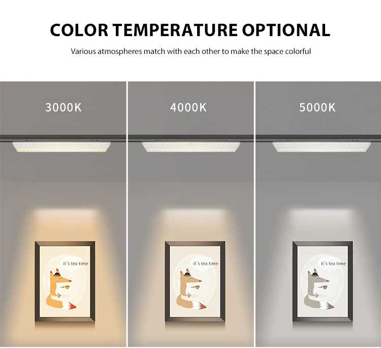 LED Linear Light Fixture