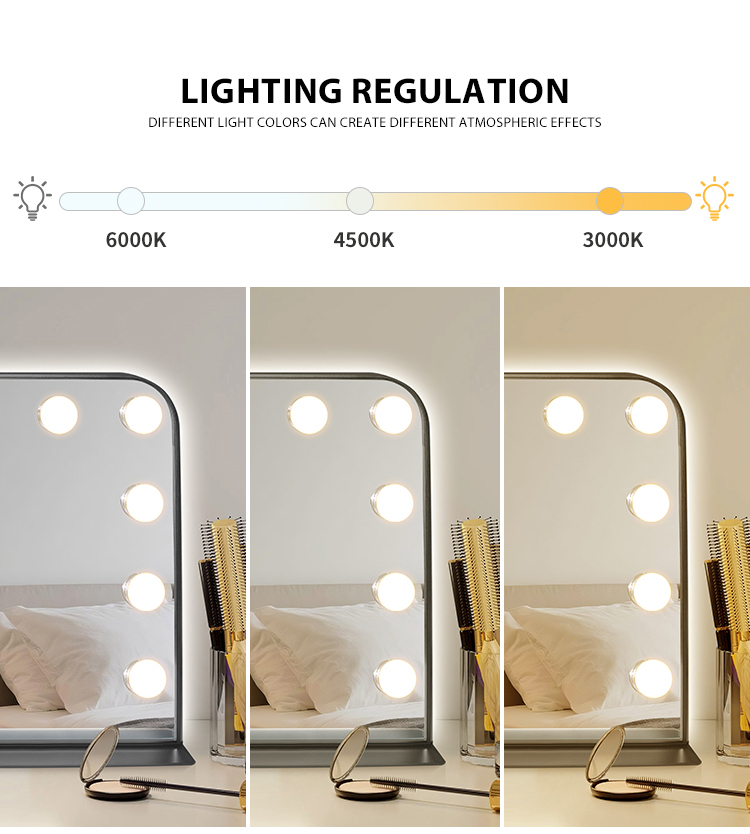 Vanity mirror with dual control lights