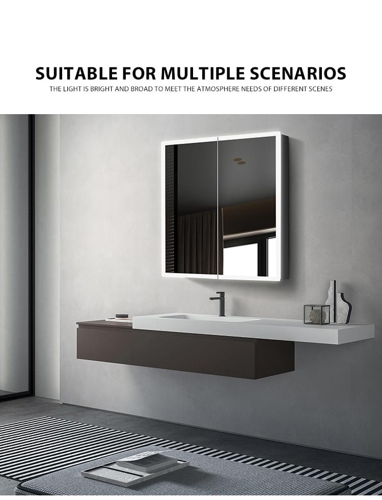 Medicine Cabinet with Internal Storage