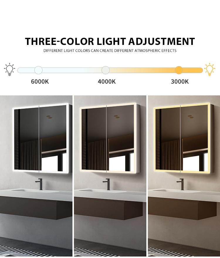 Medicine Cabinet with Internal Storage