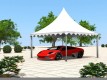 Car Show Pagoda Tent