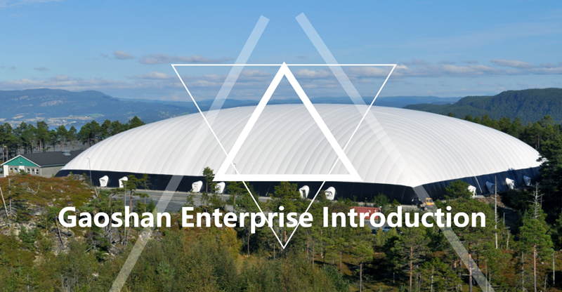 Inflatable support structure