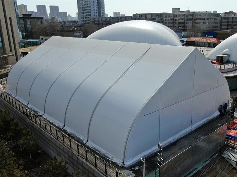 Gaoshan investiga nuevos tipos de carpas, te hace sentir como en casa.