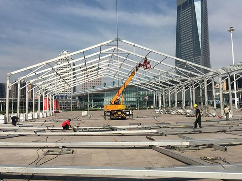 ¿Cuáles son las principales estructuras de la carpa