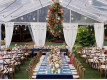Transparent Marquee custom wedding tent