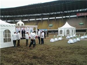 activity pagoda tent