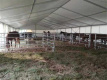 Carpa estable de granja de caballos con marco de aluminio