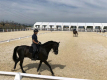 Equestrian Sports Tent