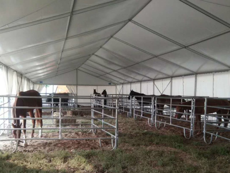 Reitsportzelt