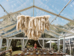 خيمة زفاف شفافة