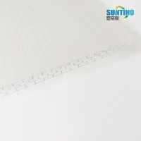 High Quality Fireproof Flexible colorful Polycarbonate Sheets