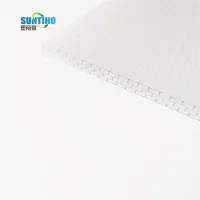 Colored Hollow Polycarbonate Sheet For Greenhouse