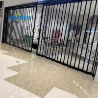 Global special technology and unique design transparent PC luminum folding door