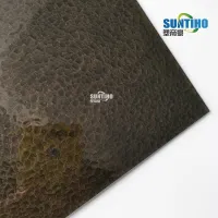 تصميم جميل ولون لوح البولي كربونات القوي للسقف