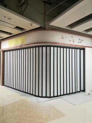 Mode Style Procedures Car Wash Room Folding Door