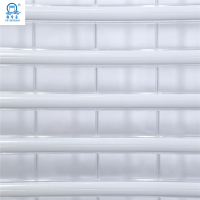 China modern design security entry electric automatic roller door roller door