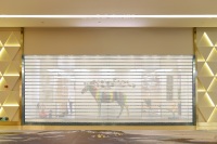 polycarbonate commercial plastic roller shutter store front door with modern simple design