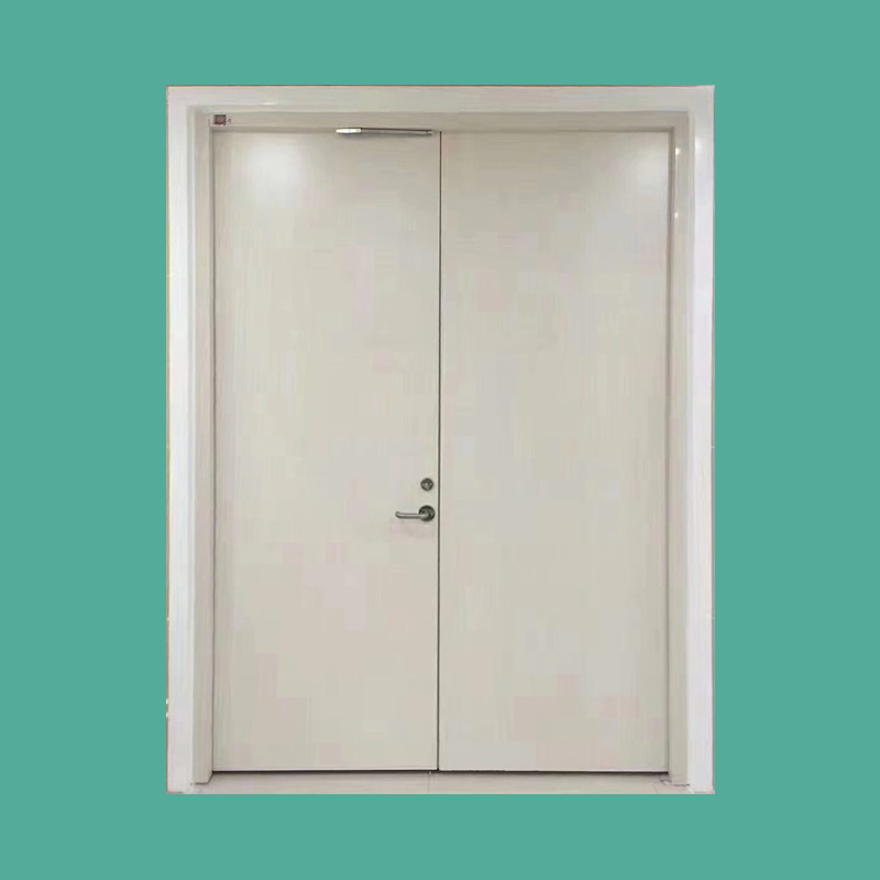Modern metal core fire rated door for villa and hospital