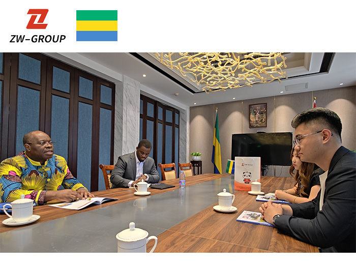  Gabon China cooperation