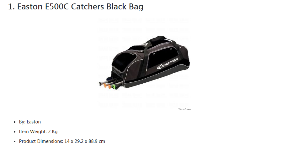 Baseball Catcher Bag