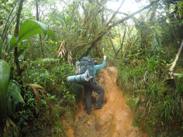 hiking backpack