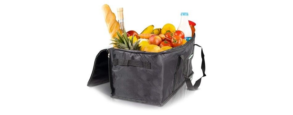 cooler bag