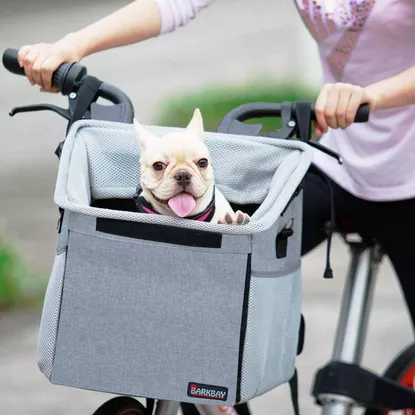 The 7 Best Pet Bag Dog Carriers of 2022