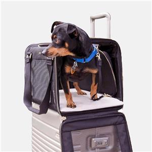 Best Airline-Approved Pet Carriers