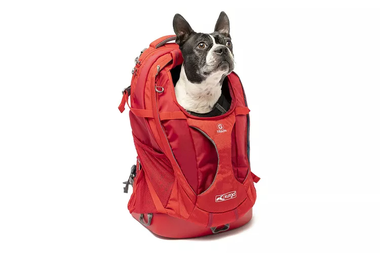 Best Dog Backpack Carriers of 2023