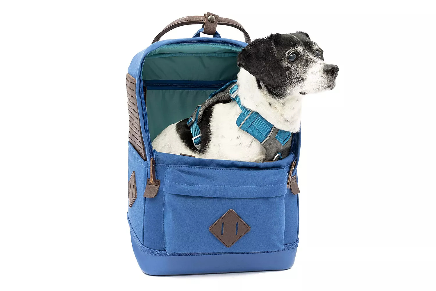 pet bag