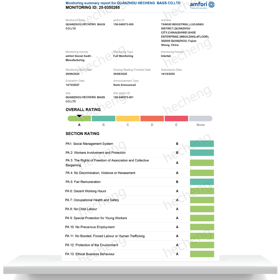 <h3>BSCI-hecheng-2025