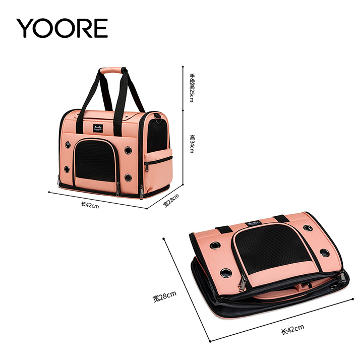 Acquista Borsa pieghevole per animali domestici, trasportino da viaggio per animali domestici con rete di sicurezza da fissare alla porta del bagaglio.,Borsa pieghevole per animali domestici, trasportino da viaggio per animali domestici con rete di sicurezza da fissare alla porta del bagaglio. prezzi,Borsa pieghevole per animali domestici, trasportino da viaggio per animali domestici con rete di sicurezza da fissare alla porta del bagaglio. marche,Borsa pieghevole per animali domestici, trasportino da viaggio per animali domestici con rete di sicurezza da fissare alla porta del bagaglio. Produttori,Borsa pieghevole per animali domestici, trasportino da viaggio per animali domestici con rete di sicurezza da fissare alla porta del bagaglio. Citazioni,Borsa pieghevole per animali domestici, trasportino da viaggio per animali domestici con rete di sicurezza da fissare alla porta del bagaglio. l'azienda,