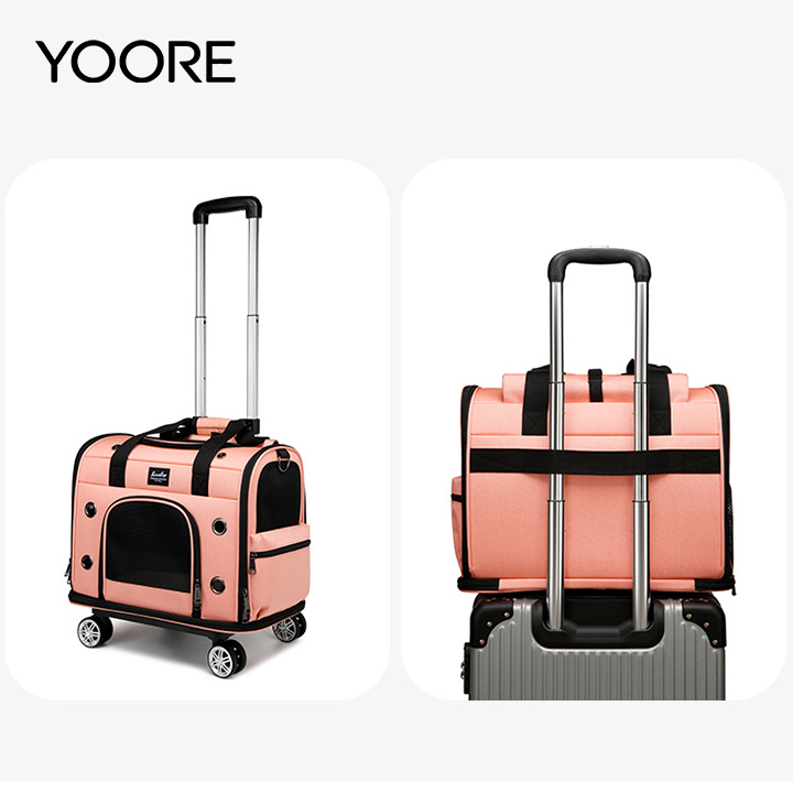 Acquista Borsa pieghevole per animali domestici, trasportino da viaggio per animali domestici con rete di sicurezza da fissare alla porta del bagaglio.,Borsa pieghevole per animali domestici, trasportino da viaggio per animali domestici con rete di sicurezza da fissare alla porta del bagaglio. prezzi,Borsa pieghevole per animali domestici, trasportino da viaggio per animali domestici con rete di sicurezza da fissare alla porta del bagaglio. marche,Borsa pieghevole per animali domestici, trasportino da viaggio per animali domestici con rete di sicurezza da fissare alla porta del bagaglio. Produttori,Borsa pieghevole per animali domestici, trasportino da viaggio per animali domestici con rete di sicurezza da fissare alla porta del bagaglio. Citazioni,Borsa pieghevole per animali domestici, trasportino da viaggio per animali domestici con rete di sicurezza da fissare alla porta del bagaglio. l'azienda,