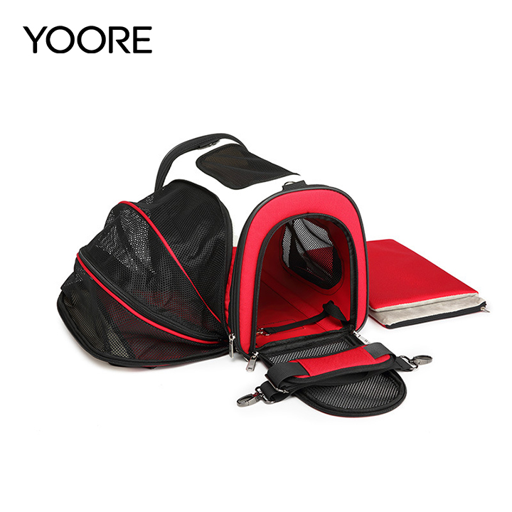 Expandable Soft Pet Carrier Bag – Breathable Mesh Collapsible Cat & Small Dog Travel Tote