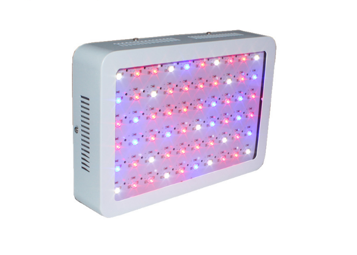 Comprar 600w a 2000w led grow light full spectrum,600w a 2000w led grow light full spectrum Preço,600w a 2000w led grow light full spectrum   Marcas,600w a 2000w led grow light full spectrum Fabricante,600w a 2000w led grow light full spectrum Mercado,600w a 2000w led grow light full spectrum Companhia,