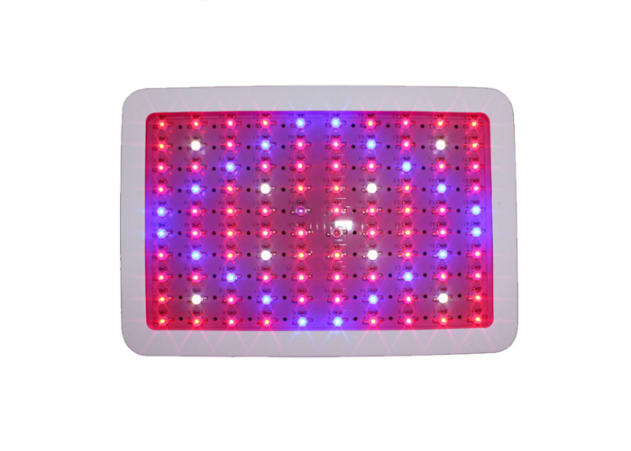 Comprar 600w a 2000w led grow light full spectrum,600w a 2000w led grow light full spectrum Preço,600w a 2000w led grow light full spectrum   Marcas,600w a 2000w led grow light full spectrum Fabricante,600w a 2000w led grow light full spectrum Mercado,600w a 2000w led grow light full spectrum Companhia,