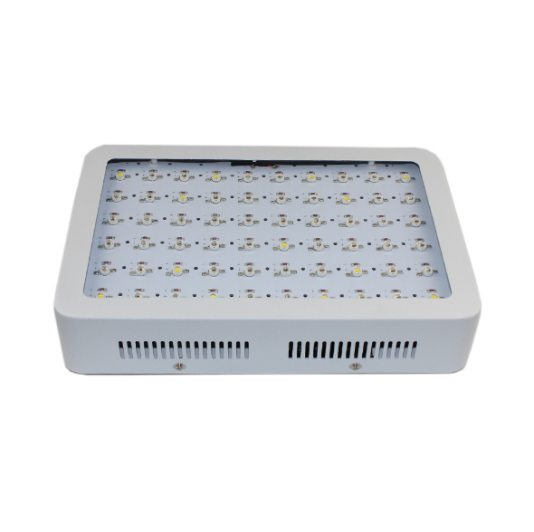 Koop 600w tot 2000w led kweeklamp volledig spectrum. 600w tot 2000w led kweeklamp volledig spectrum Prijzen. 600w tot 2000w led kweeklamp volledig spectrum Brands. 600w tot 2000w led kweeklamp volledig spectrum Fabrikant. 600w tot 2000w led kweeklamp volledig spectrum Quotes. 600w tot 2000w led kweeklamp volledig spectrum Company.