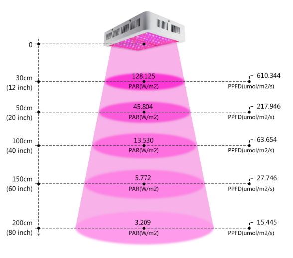 led élèvent la lumière hydroponique