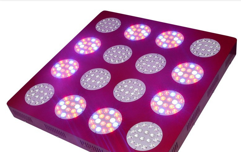 Comprar 180W a 1440w planta led grow light,180W a 1440w planta led grow light Preço,180W a 1440w planta led grow light   Marcas,180W a 1440w planta led grow light Fabricante,180W a 1440w planta led grow light Mercado,180W a 1440w planta led grow light Companhia,