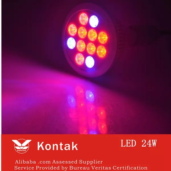 led αυξάνεται φως e27