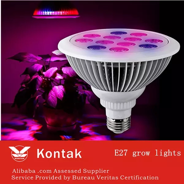 Comprar LED rojo 630nm blue460nm E27grow light, LED rojo 630nm blue460nm E27grow light Precios, LED rojo 630nm blue460nm E27grow light Marcas, LED rojo 630nm blue460nm E27grow light Fabricante, LED rojo 630nm blue460nm E27grow light Citas, LED rojo 630nm blue460nm E27grow light Empresa.