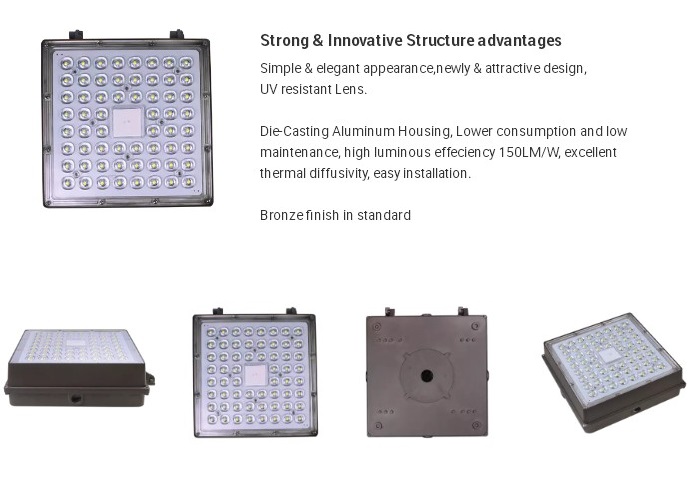 led canopy light