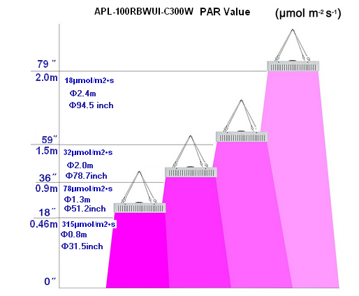 LED wachsen Licht 300w