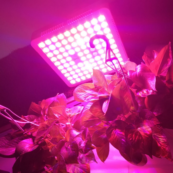 led grow light 300w