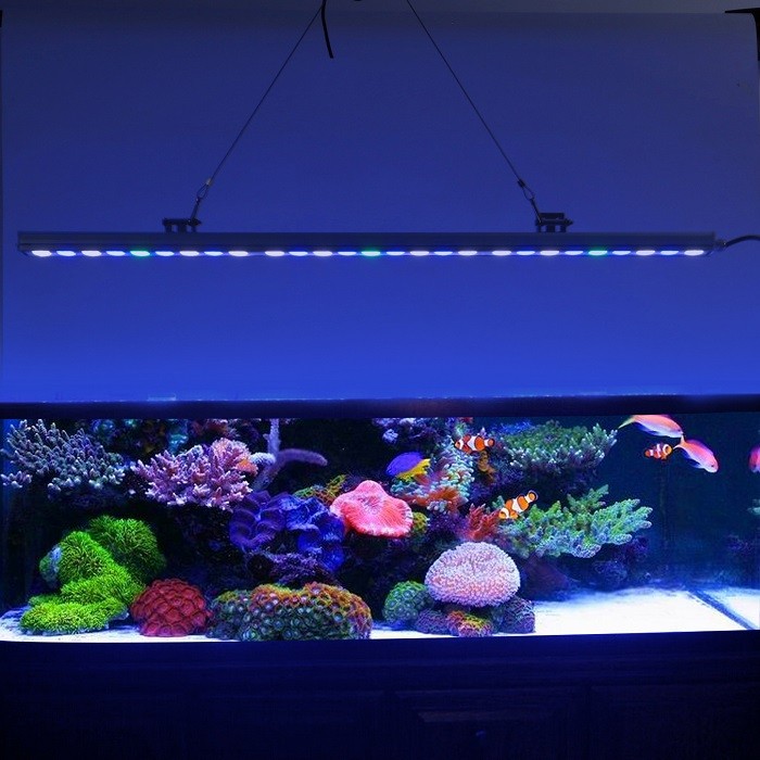 Acheter 27x3w lumière d'aquarium LED récif de corail,27x3w lumière d'aquarium LED récif de corail Prix,27x3w lumière d'aquarium LED récif de corail Marques,27x3w lumière d'aquarium LED récif de corail Fabricant,27x3w lumière d'aquarium LED récif de corail Quotes,27x3w lumière d'aquarium LED récif de corail Société,